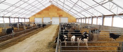 Livestock and beef fabric buildings