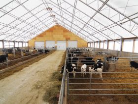 Cobra Structures fabric structure