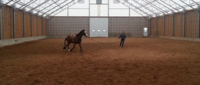 Woman with horse inside cobra equestrian fabric structure