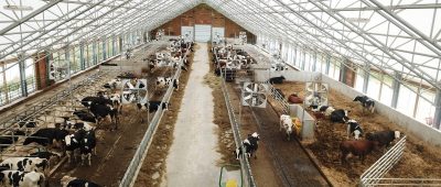 Cobra Structures fabric buildings livestock & dairy