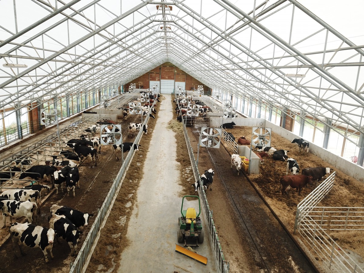 Cobra Structures fabric buildings livestock & dairy