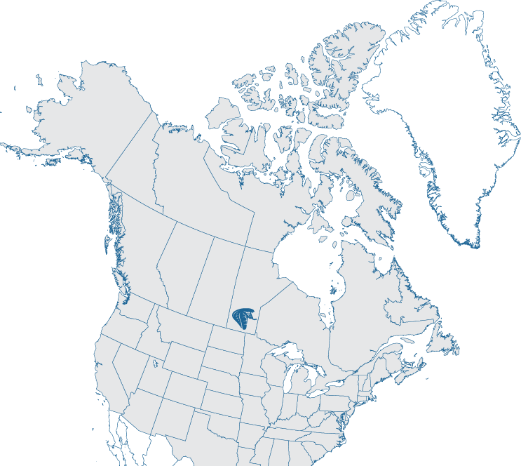 Cobra Structures service area map