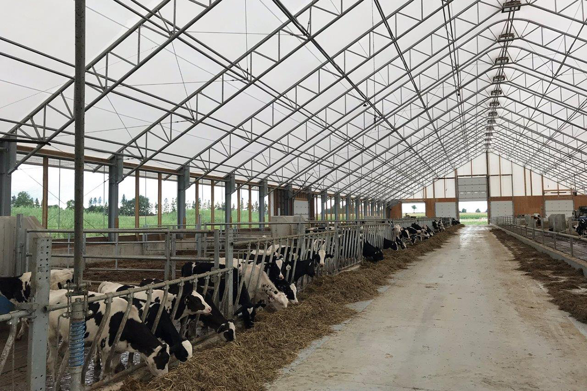 Cobra Structures dairy barn