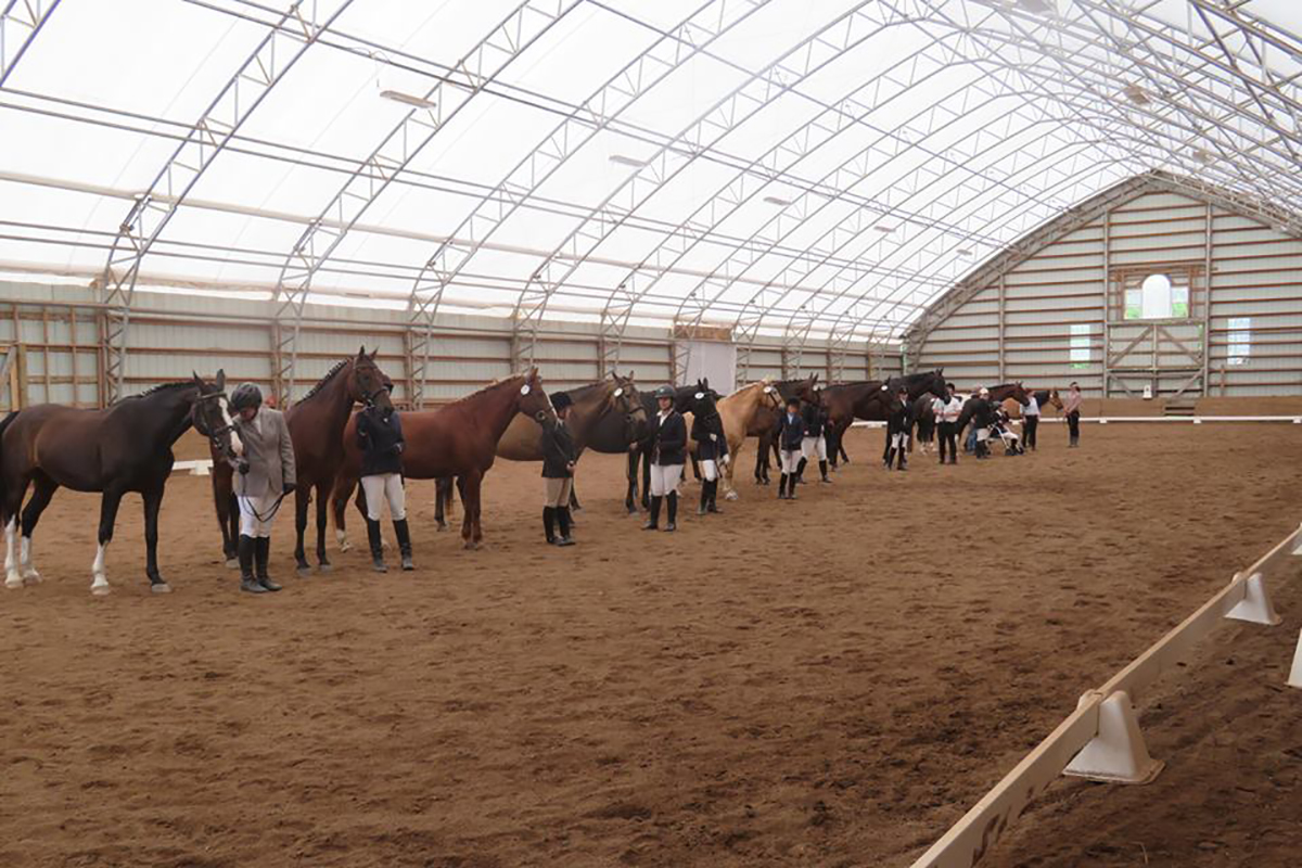 Cobra Structures equine building